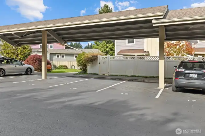 Covered Parking space dedicated to the unit