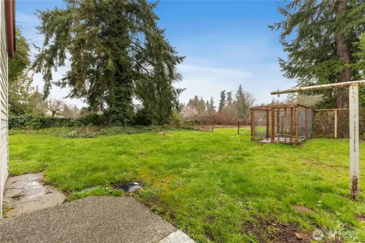 Back Yard flows into 2.37 Acres.
