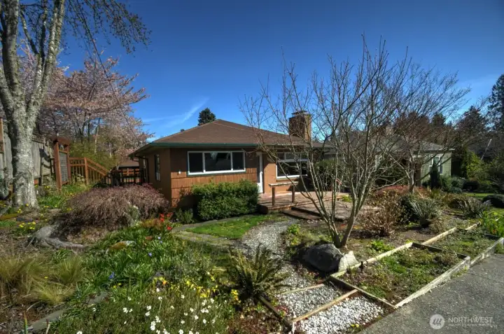 Pathway from sidewalk around raised beds, and a side terrace planting area provide a nice landscape canvas