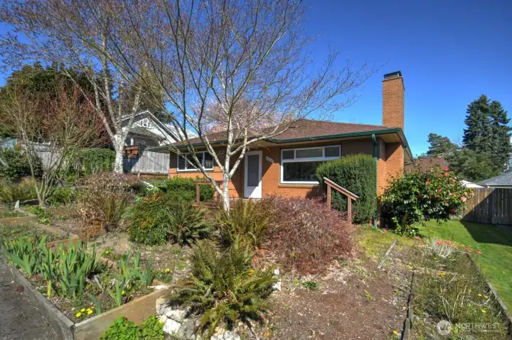 Blooms to come, and room to add more