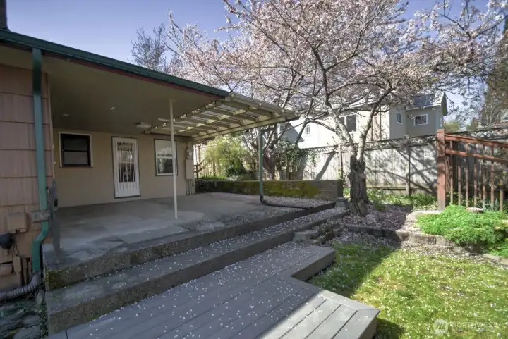 Covered patio and enough back yard for  green space use