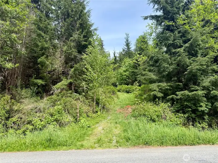 Lake Cavanaugh vacant parcel.