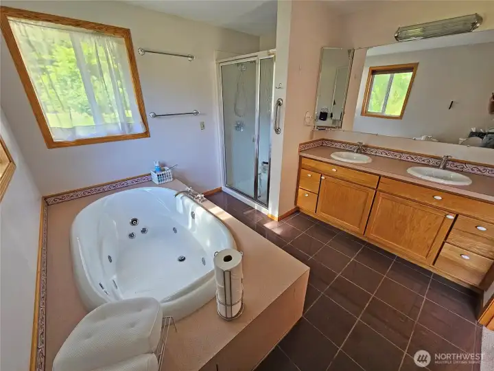 Jetted Tub in the bath suite off of the primary Bdrm