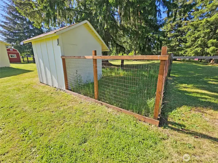 Dog kennel and shelter