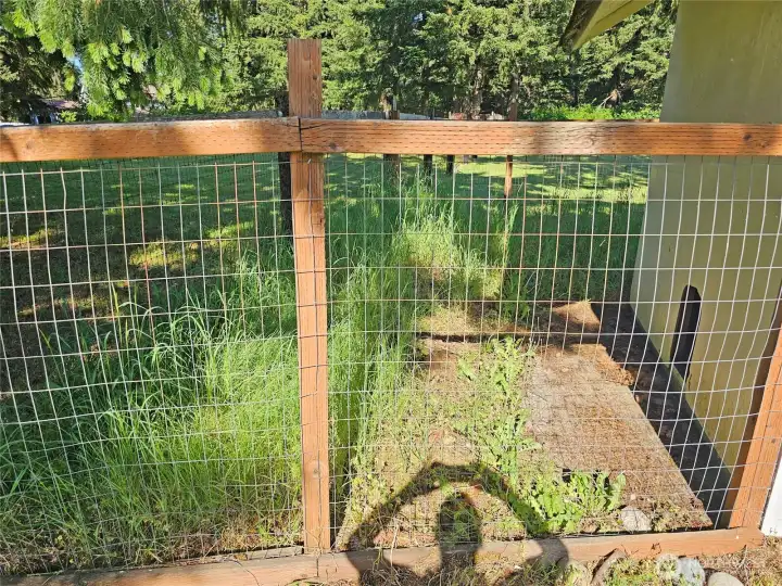 pets can enter in and out of the kennel shelter