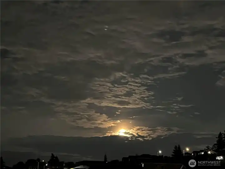 Autumn Moonrise