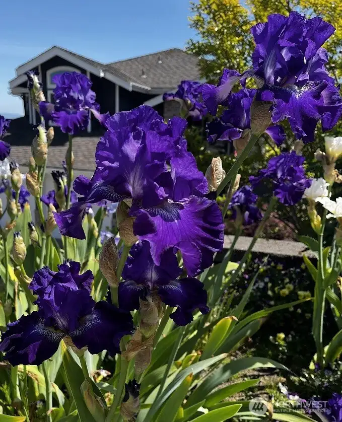 Something is always blooming