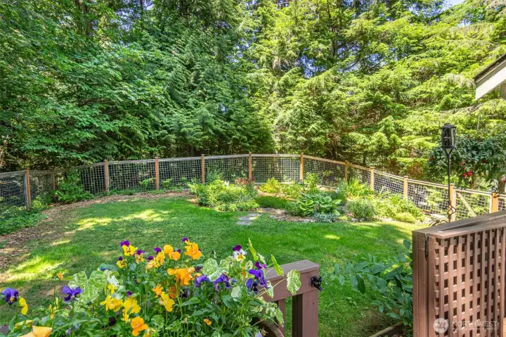 This view from the deck shows how wide the yard it. Plenty of room for the garden. This view from the deck shows how wide the yard it. Plenty of room for the garden.