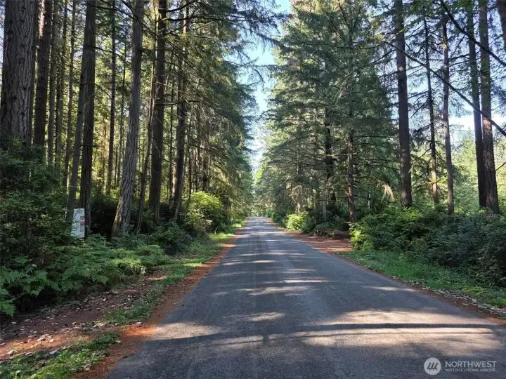 Looking North on Landers Road; a sleepy neighborhood lane and a popular, quiet loop for locals and their pets.