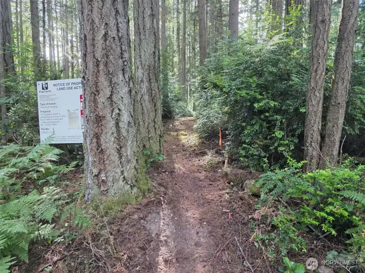 The trail starts a transition into a forest wonderland with abundant birds and wildlife.
