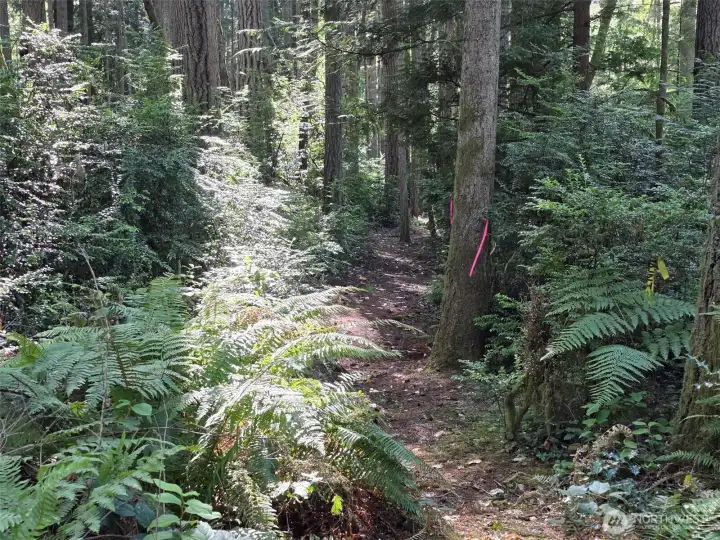 It's truly a magical spot with a feeling of being secluded and protected.