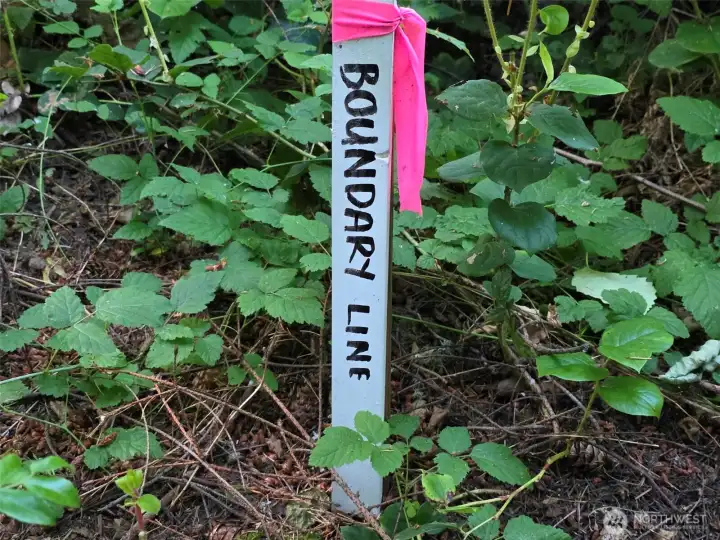 you'll see these occasionally along the trail from the paved road to the ten acre parcel.  These are the northern boundary of the 16 foot wide skinny parcel.
