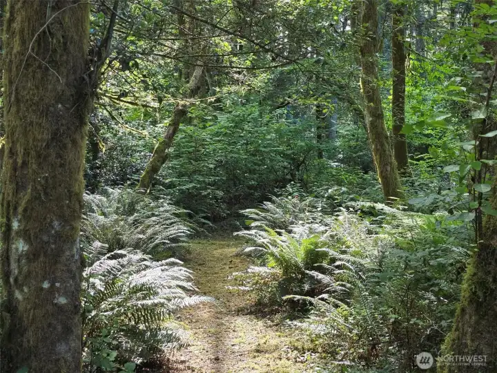 Entrance to 10 acre parcel 1422029069