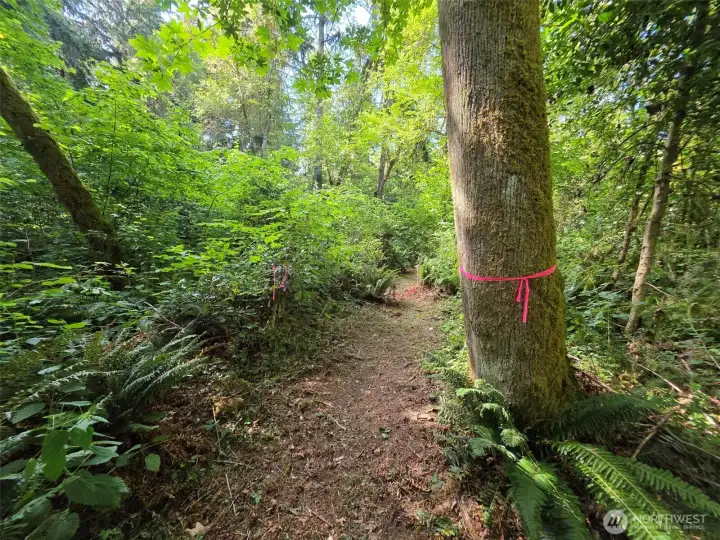 Now you're on the ten acre parcel 1422029069