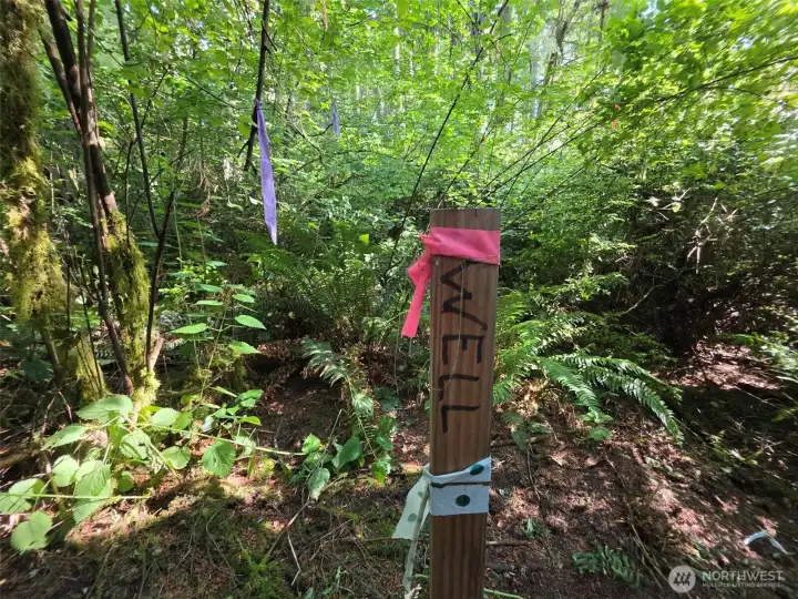 This is the proposed well site. Neighboring wells are good producers of clean, clear water.