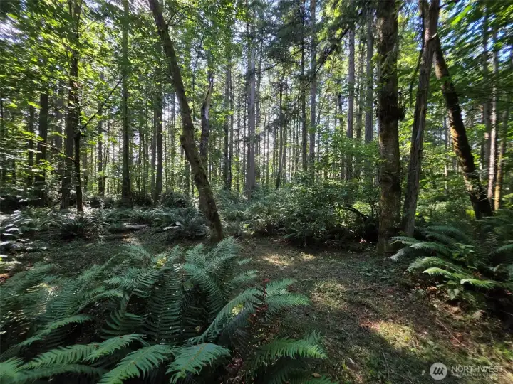 Imagine a beautiful, custom-crafted home here with connection to the great outdoors; a gorgeous place to call home.