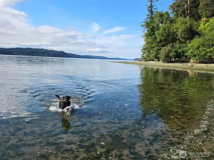 A fun spot to throw the stick!