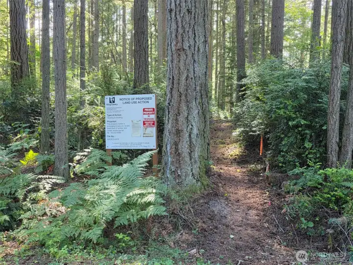 Call today for a tour; we love any chance to enjoy this lovely woodland!