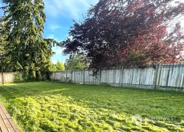 Spacious fenced backyard
