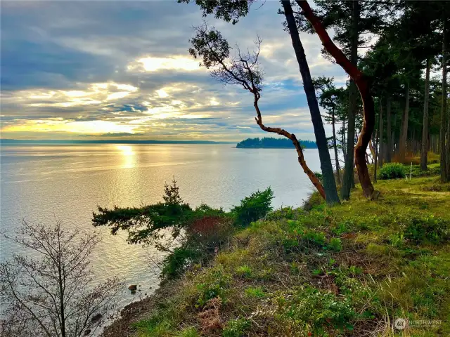 Looking SW toward the Olympic Mountains in the distance with sunset and Polnell Point in the foreground.