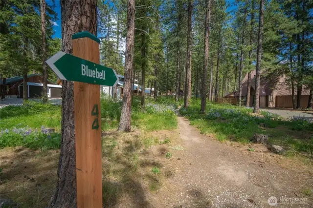 Community Trails