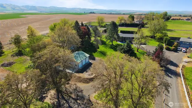 The beautifully treed property is a birdwatcher's paradise.