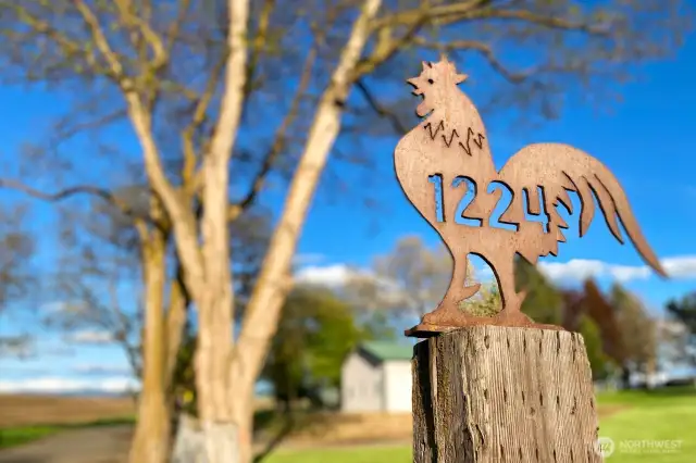You'll love life on Rooster Road.