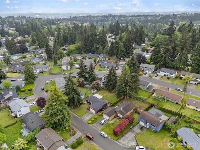 Looking out across the neighborhood, you can see how close this home is to town while still being tucked into a peaceful, forested setting. The best of both worlds!