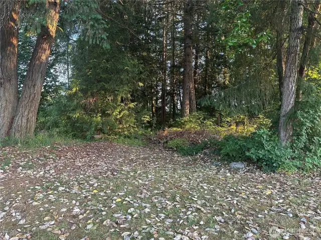 Back of property