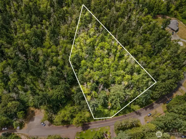 1.55 Acre lot in the beautiful Johnson Point area. Located at the northern tip of Thurston County, situated between Henderson Inlet and Nisqually Reach.