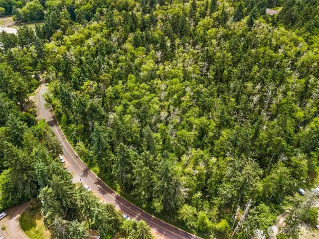 Aerial view of the 1.55 treed acres and the adjacent .39 acre parcel also available. Purchase together for a wonderful, nearly 2 acre home site.