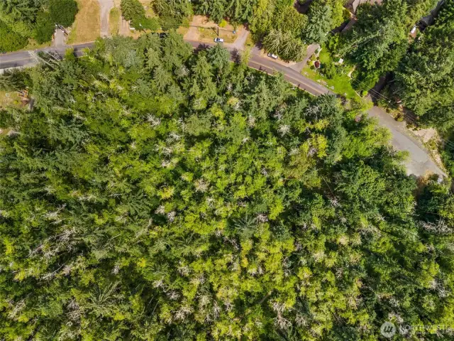 Birds eye view of property.