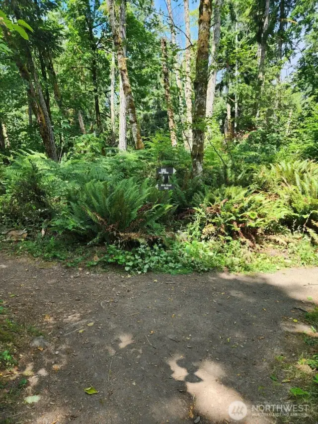 Trailhead to Tolmie State Park is right out your future back door!