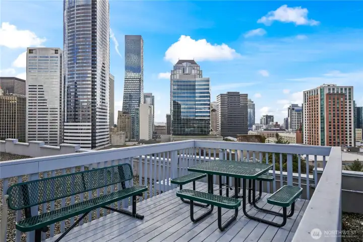 View from Rooftop deck