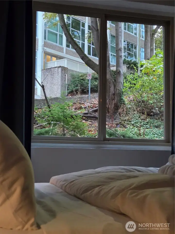 Master bedroom window view