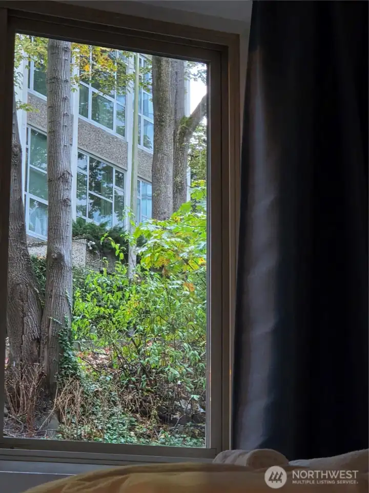 Master bedroom view