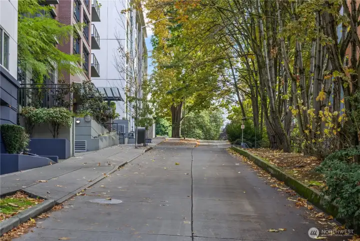 Terry Ave daytime