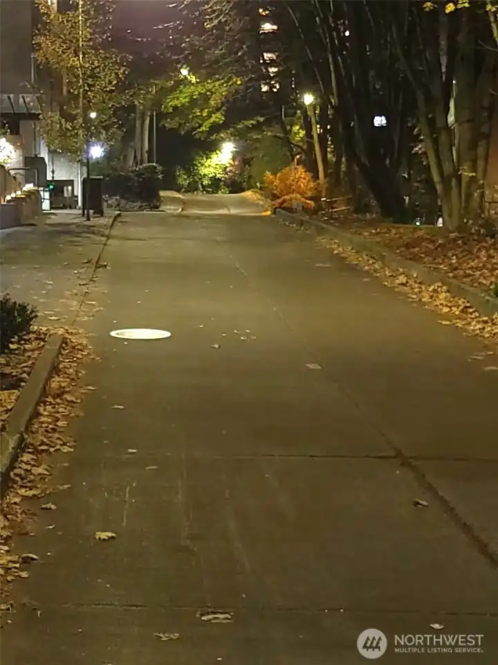 Terry Ave at night