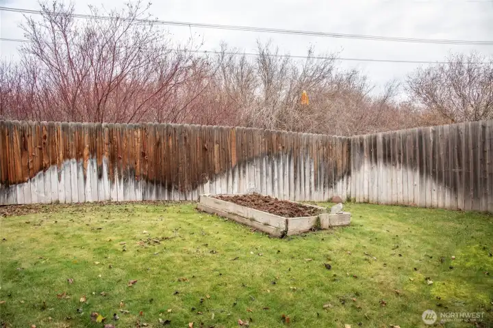 Fenced back yard with lawn and garden box