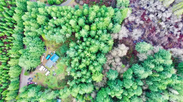 5 wooded acres to enjoy