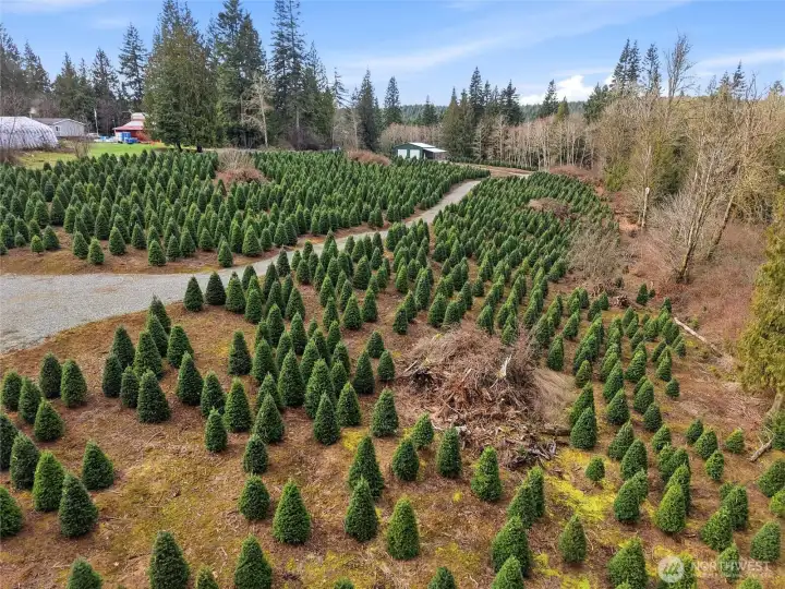 ENTRY ROAD with Shop at top of hill