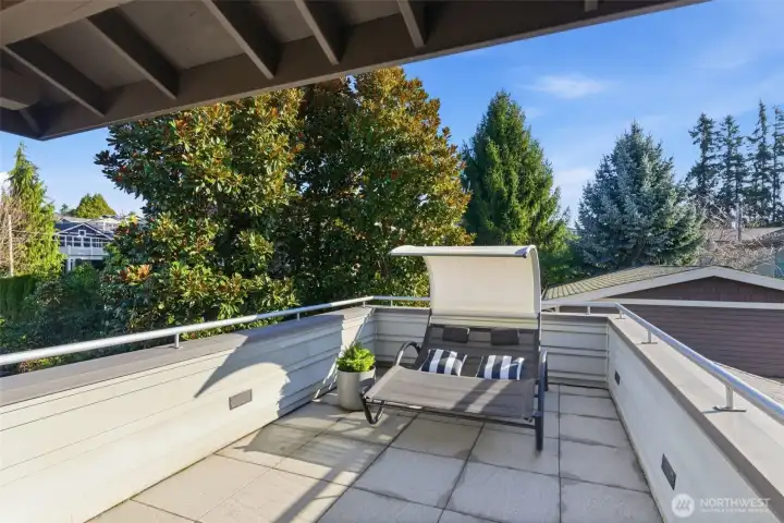 The upstairs deck is hugged by giant magnolia trees and offers lots of breathing room from neighboring homes. Concrete pedestal pavers and perimeter lighting.   The spacing between this home and its neighbors is uncommonly generous.