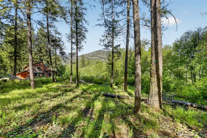 Forests to west of home.
