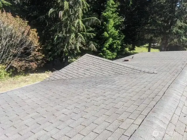 Freshly cleaned roof!