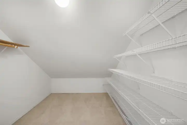 Large walk-in closet off bedroom #2
