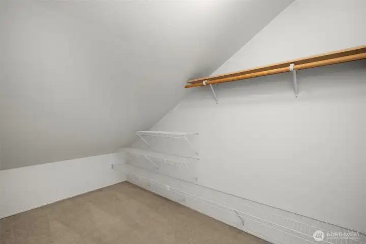 Large walk-in closet off bedroom #3