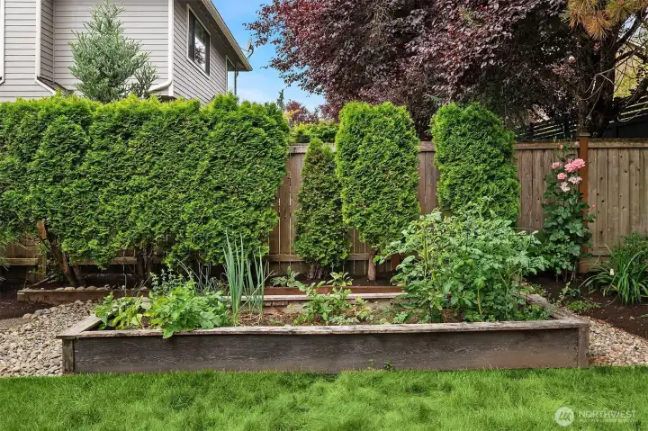 Fully Fenced Backyard - Garden Spaces