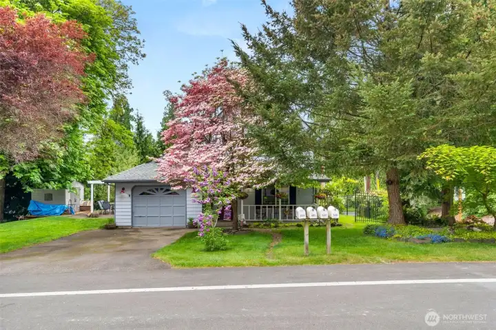 Great corner lot home in Lacey.