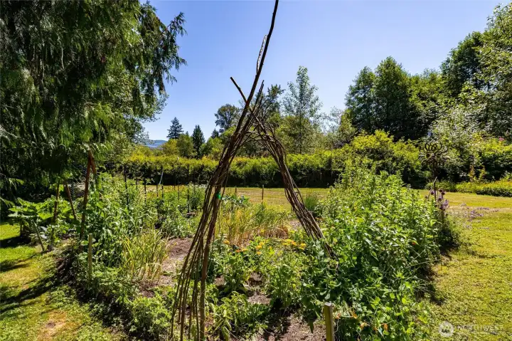 There is a large vegetable garden with plenty of room to expand. There is a large vegetable garden with plenty of room to expand.