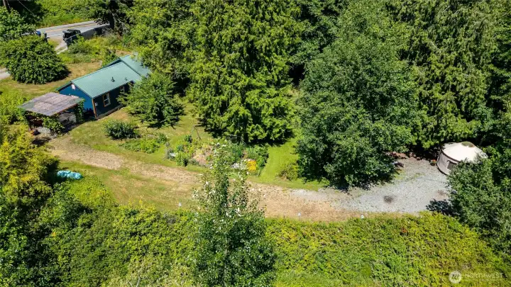 Mature fruit trees on the property. Mature fruit trees on the property.